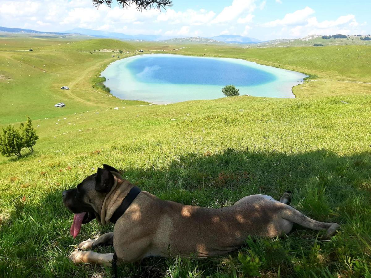 Etno Idila D&D Villa Žabljak Kültér fotó